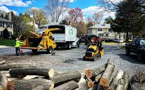 Topanga, CA Tree Services Company
