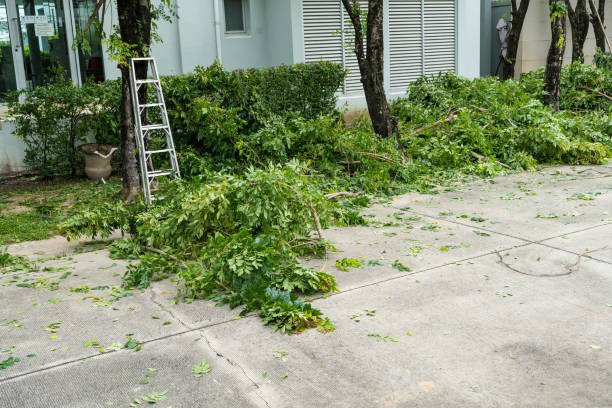 Best Utility Line Clearance  in Topanga, CA